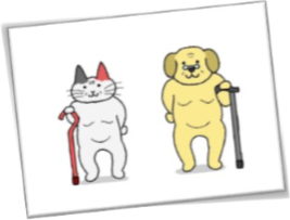 Ältester Hund, älteste Katze alt=